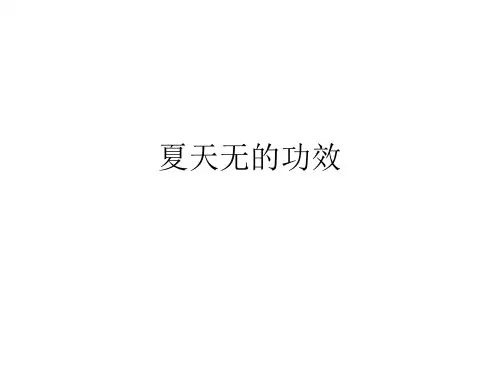 夏天无的功效