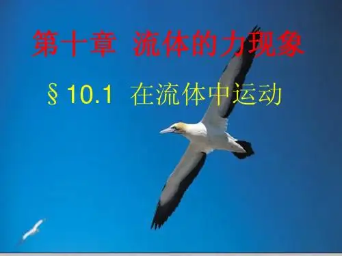 10.1 在流体中运动