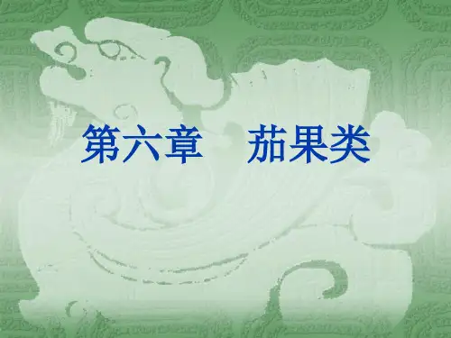 茄果类