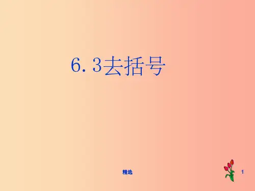 七年级数学上册 第六章 整式的加减 6.3《去括号》课件1 (新版)青岛版