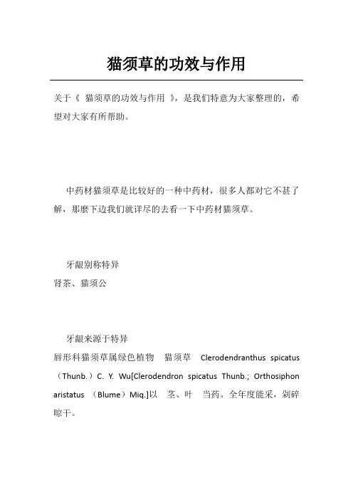 猫须草的功效与作用