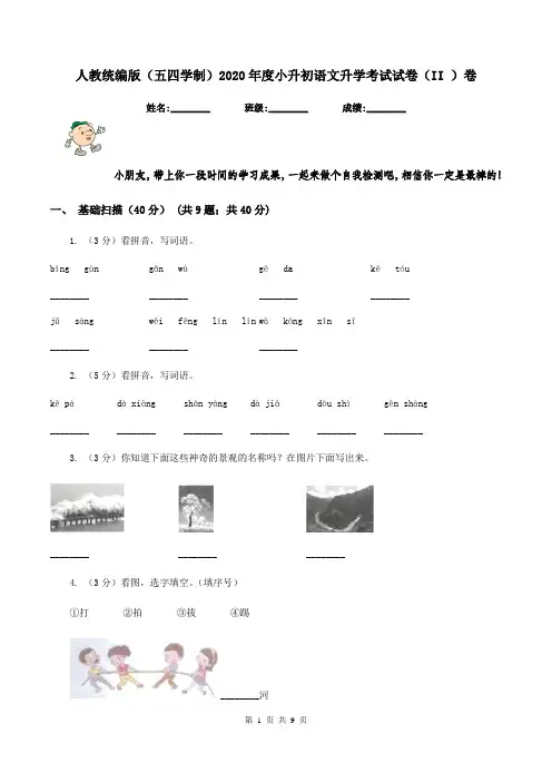人教统编版(五四学制)2020年度小升初语文升学考试试卷(II )卷