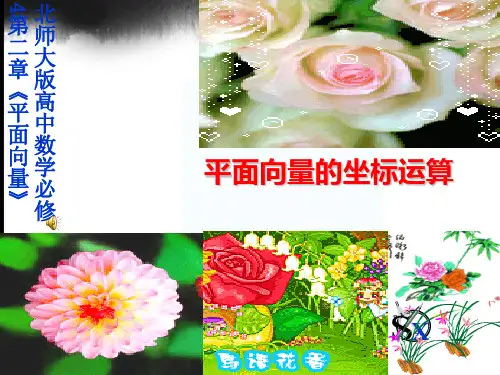 北师大版高中数学必修4第二章《平面向量》平面向量的坐标运算