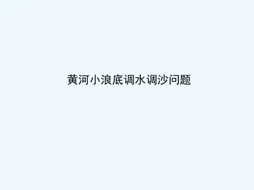 黄河小浪底调沙调水分析.ppt