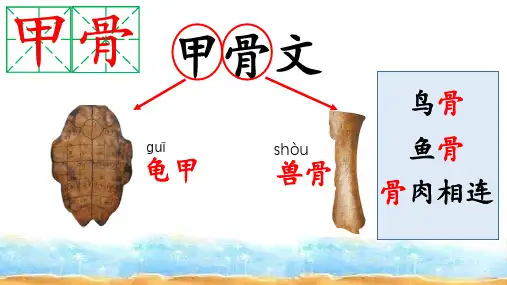教科版(2017秋)科学四年级下册 31岩石与土壤的故事 课件(共12张PPT)