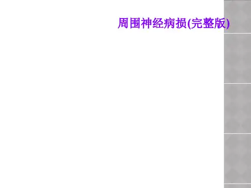 周围神经病损(完整版)