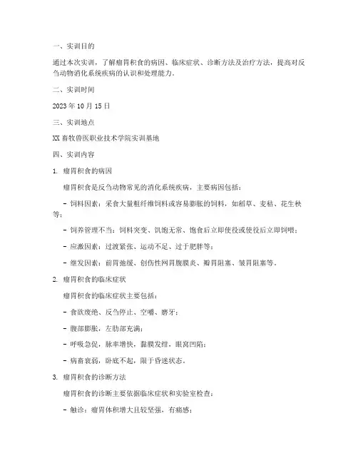 瘤胃积食实训报告