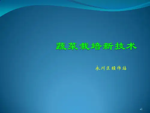 蔬菜栽培新技术ppt课件