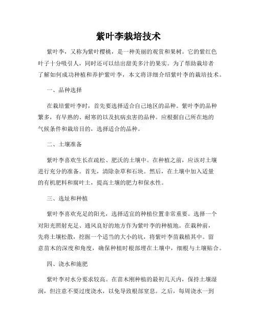 紫叶李栽培技术