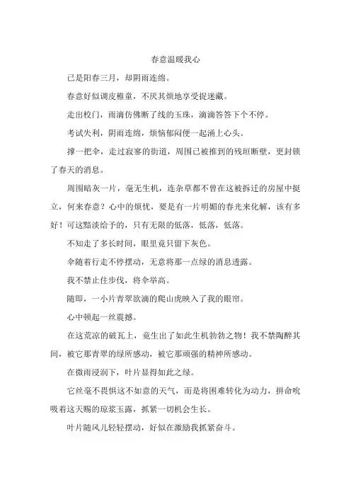 春意温暖我心--作文