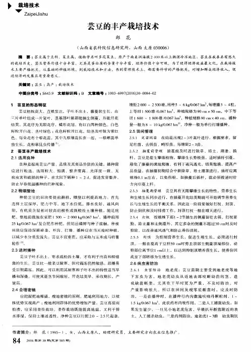 芸豆的丰产栽培技术