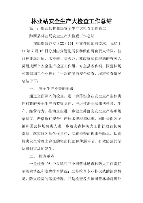 林业站安全生产大检查工作总结