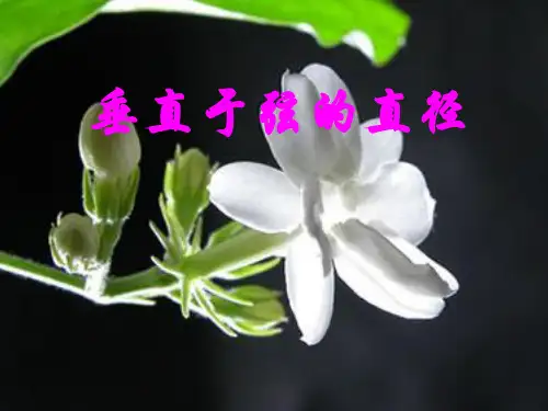 人教版数学九年级上册 24.1.2 垂直于弦的直径 课件(共18张PPT)