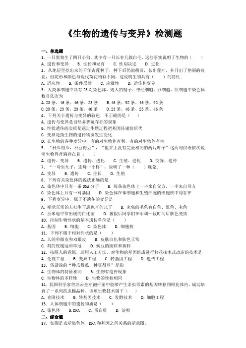 《生物的遗传与变异单元检测题(含答案)