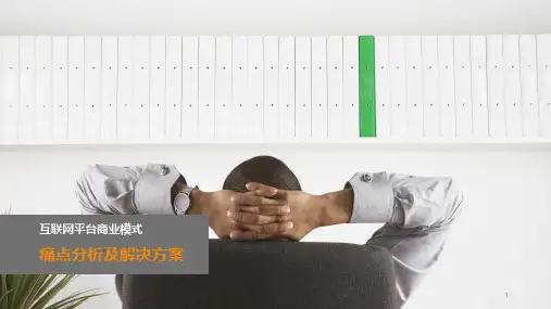 互联网平台型商业模式痛点分析ppt课件