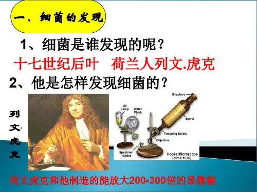 列文虎克细菌的发现3