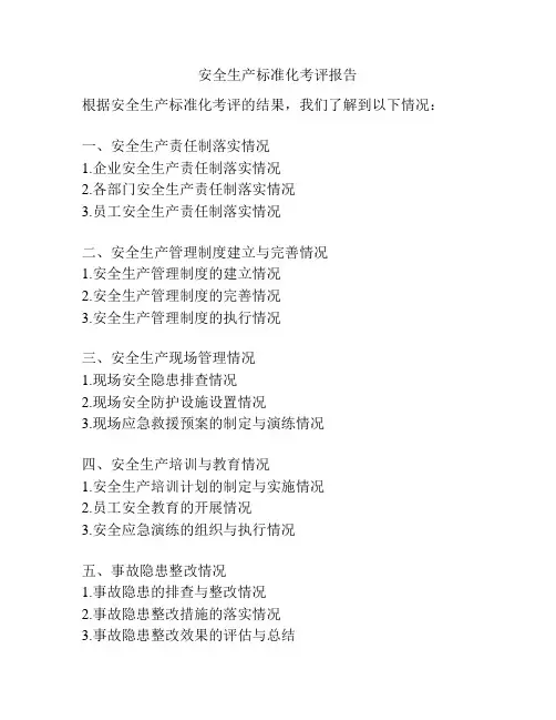 安全生产标准化考评报告