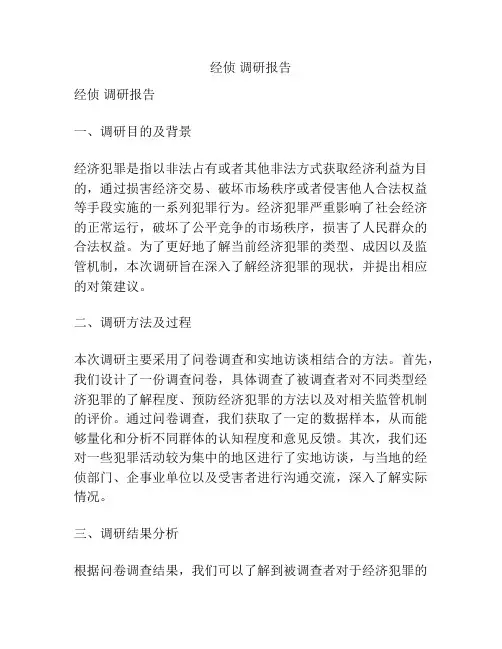 经侦 调研报告