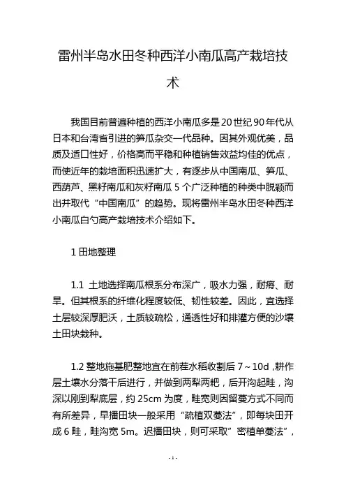 雷州半岛水田冬种西洋小南瓜高产栽培技术