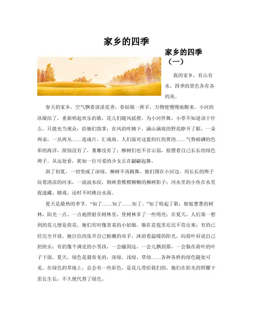 家乡的四季(共10篇)