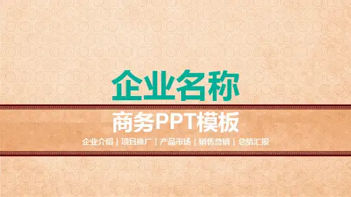 企业介绍项目推广产品销售营销总结PPT模版