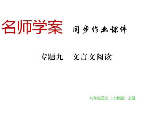 秋九年级语文上册人教部编版(黔东南专用)习题课件：专题九(共18张PPT)