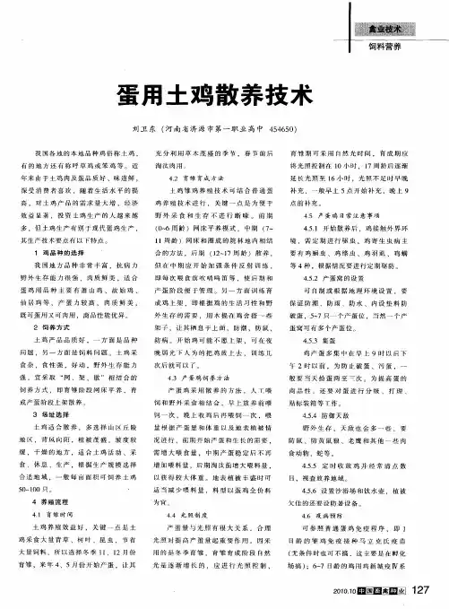 蛋用土鸡散养技术