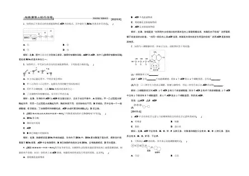 2021高中同步创新课堂生物优化方案人教版必修1习题：第五章第2节知能演练轻巧夺冠 Word版含答案