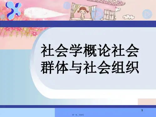 社会学概论社会群体与社会组织