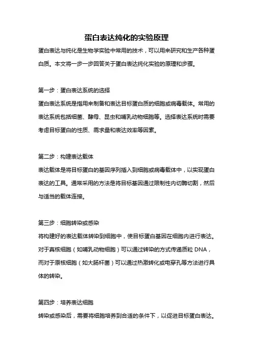 蛋白表达纯化的实验原理