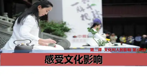 (完整)感受文化影响 课件精品PPT资料精品PPT资料