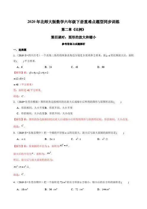 六年级数学下册重难点题型训练第二章《比例》第四课时：图形的放大和缩小(解析版)(北师大)