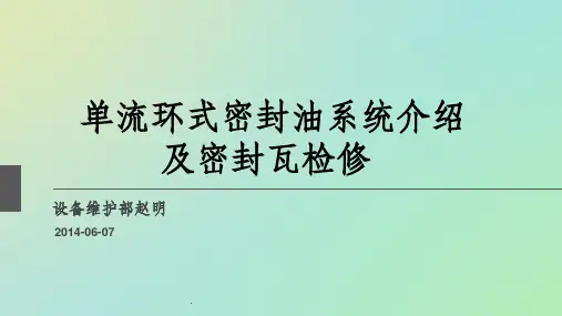 单流环式密封油系统介绍及密封瓦检修ppt课件