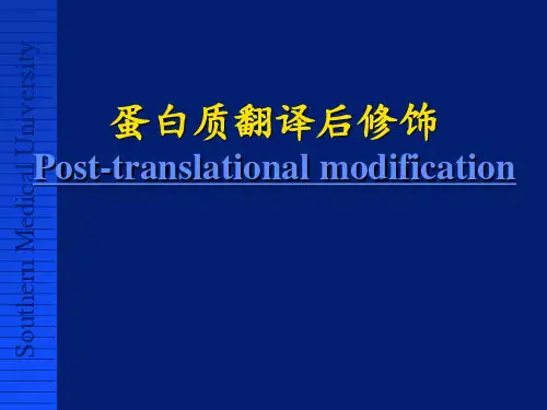 蛋白质翻译后修饰【病理生理学教研室】 ppt课件