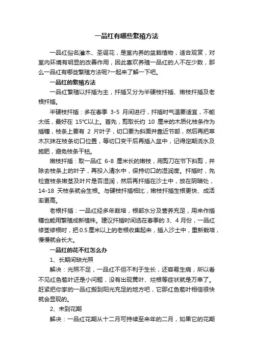 一品红有哪些繁殖方法