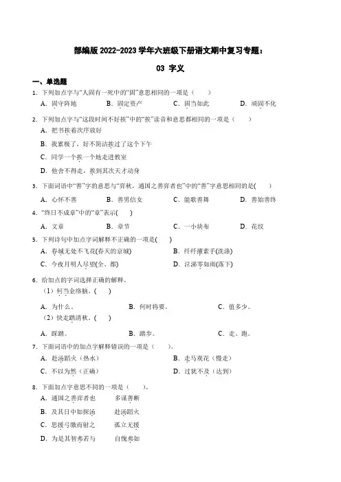 期中复习专题：03 字义(试题)部编版语文六年级下册