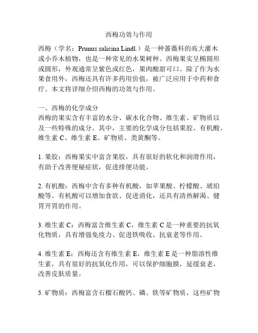 西梅功效与作用