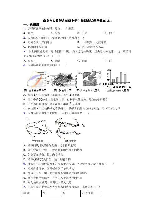 南京市人教版八年级上册生物期末试卷及答案.doc