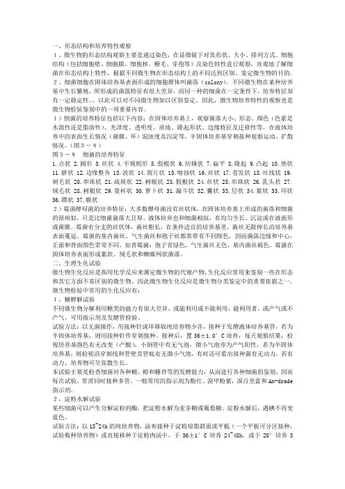 微生物常用实验