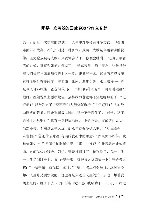 那是一次勇敢的尝试500字作文5篇
