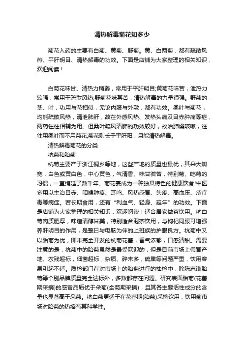 清热解毒菊花知多少