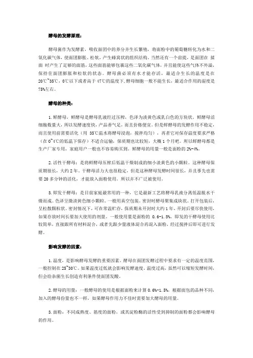 酵母的发酵原理