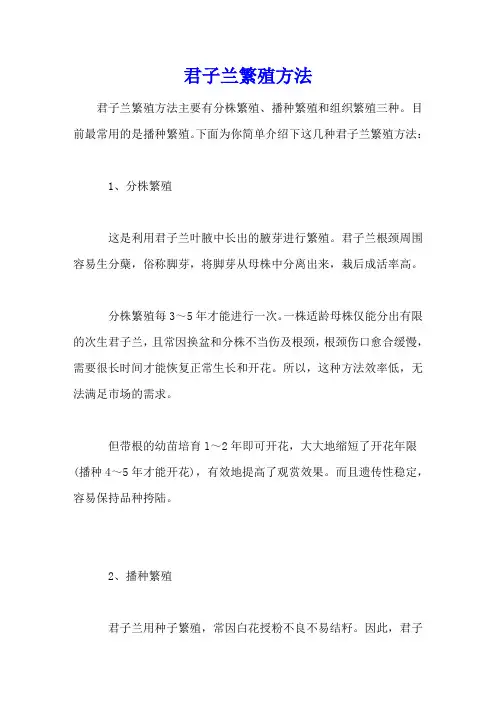 君子兰繁殖方法
