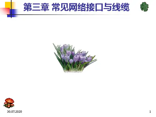 常用网络接口与线缆PPT课件