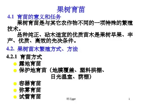 《果树育苗技术》PPT课件