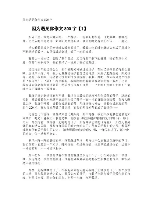 因为遇见你作文800字