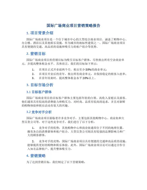 国际广场商业项目营销策略报告