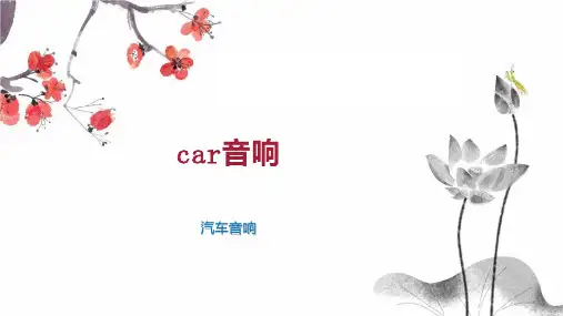 car音响 