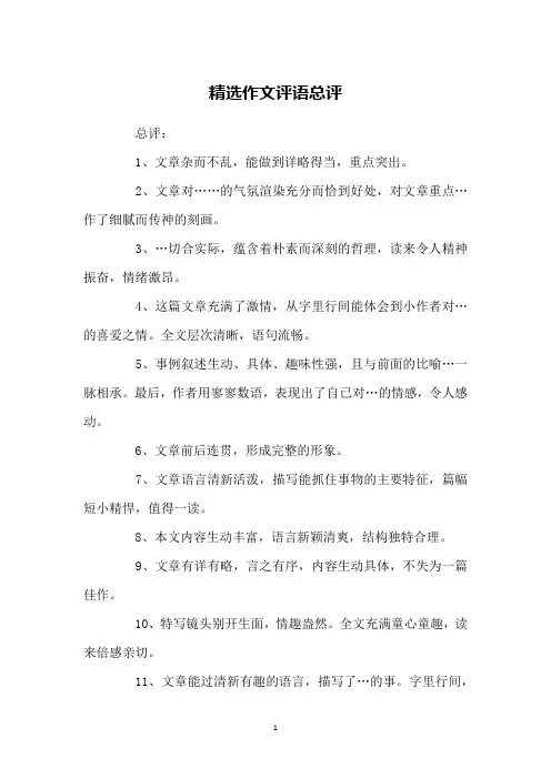 精选作文评语总评
