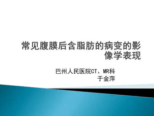 常见腹膜后含脂肪的病变的影像学表现